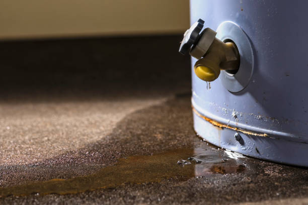 Best Water damage restoration near me  in Humboldt Hill, CA
