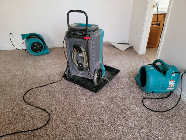 Best Ceiling water damage repair  in Humboldt Hill, CA