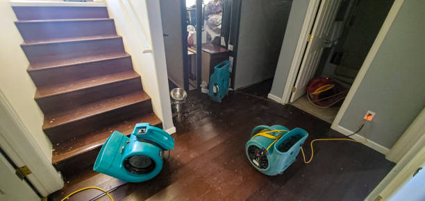 Best Basement water damage restoration  in Humboldt Hill, CA
