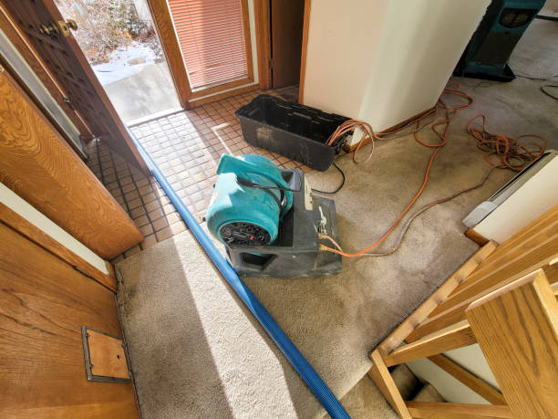 Best Emergency water damage restoration  in Humboldt Hill, CA