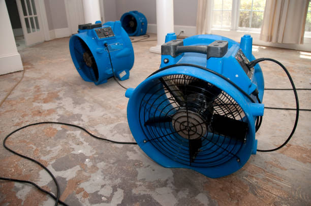Best Basement water damage restoration  in Humboldt Hill, CA