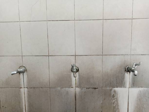 Best Water damage cleanup near me  in Humboldt Hill, CA