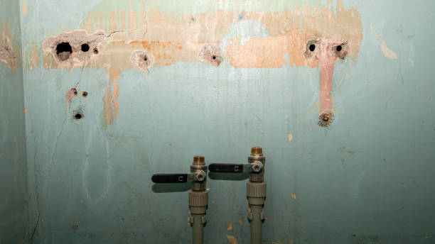 Best Commercial water damage restoration  in Humboldt Hill, CA