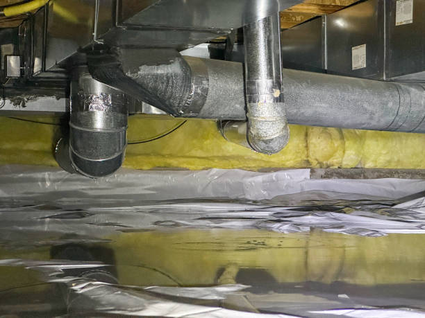 Best Water damage restoration near me  in Humboldt Hill, CA