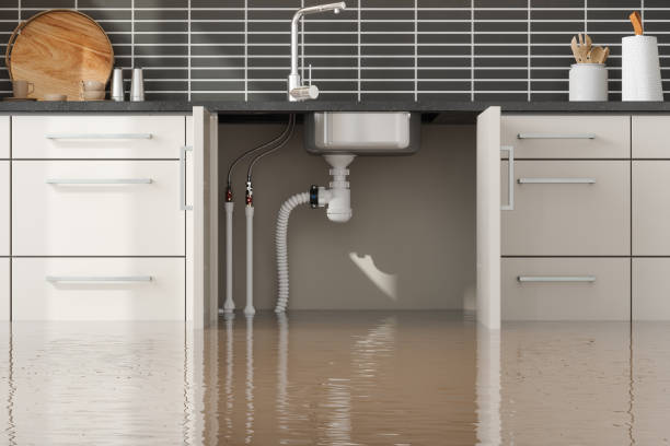Best Flood damage cleanup  in Humboldt Hill, CA