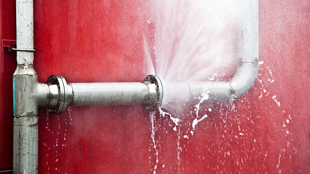 Best Fire Damage Restoration  in Humboldt Hill, CA