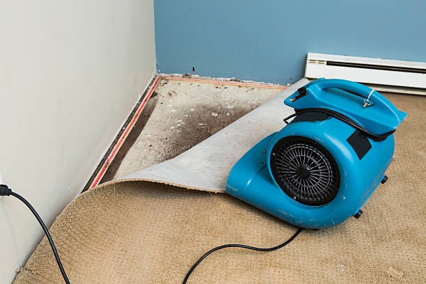 Best Water damage contractors near me  in Humboldt Hill, CA